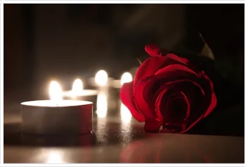 گلاب کا پھول، شمع، رات